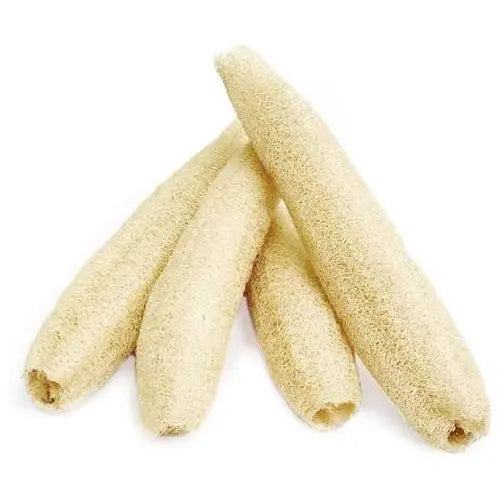 Sudanese Loofah
